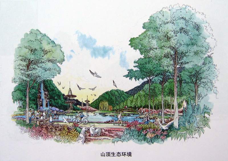 山頂生態環境